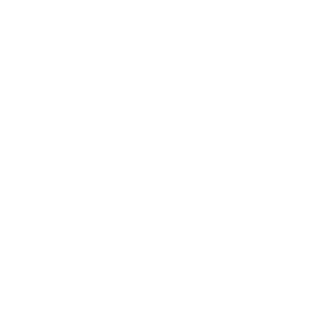 icon mission