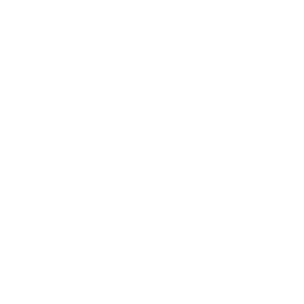 icon vision